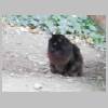 DSCN3056.JPG
