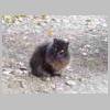 DSCN3058.JPG