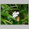 DSCN3059.JPG
