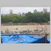 DSCN9629.JPG