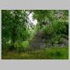 DSCN9667.JPG