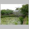 DSCN9715.JPG