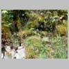 DSCN9766.JPG