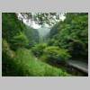 DSCN9767.JPG