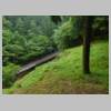 DSCN9768.JPG