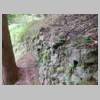 DSCN9771.JPG