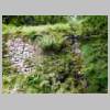 DSCN9773.JPG