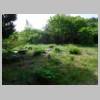 DSCN9786.JPG