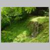 DSCN9798.JPG