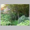 DSCN9804.JPG
