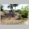 DSCN9812.JPG
