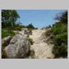 DSCN9813.JPG