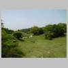 DSCN9815.JPG