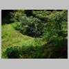 DSCN9828.JPG