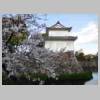 DSCN7238.JPG