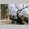 DSCN7278.JPG