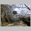 DSCN7279.JPG
