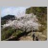 DSCN7281.JPG