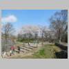 DSCN7290.JPG