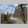 DSCN7318.JPG