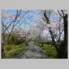 DSCN7319.JPG