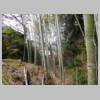 DSCN3281.JPG