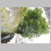 DSCN5927.JPG