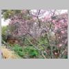 DSCN2495.JPG