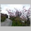 DSCN2456.JPG