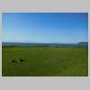DSCN8914.JPG