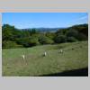 DSCN8948.JPG