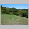 DSCN8949.JPG