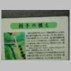 DSCN8958.JPG