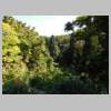 DSCN8982.JPG
