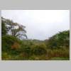 DSCN9445.JPG