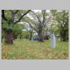 DSCN9446.JPG