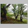 DSCN9447.JPG