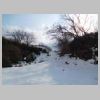 DSCN9460.JPG