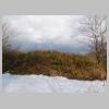 DSCN9468.JPG