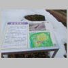 DSCN9477.JPG