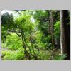 DSC00154.JPG