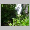 DSC00155.JPG