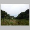 DSCN9296.JPG