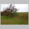 DSCN9318.JPG
