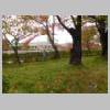 DSCN6656.JPG