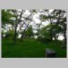 DSCN0220.JPG