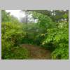 DSCN0204.JPG