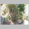 DSCN8469.JPG