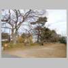 DSCN8157.JPG