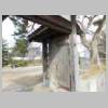 DSCN8159.JPG